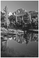 Trees and mountains reflected in calm creek, Lower Dusy basin. Kings Canyon National Park ( black and white)