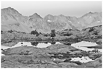 Alpine lakes and mountain range at dawn, Dusy Basin. Kings Canyon National Park, California, USA. (black and white)