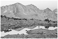 Mountains reflected in calm alpine lake at dawn, Dusy Basin. Kings Canyon National Park, California, USA. (black and white)