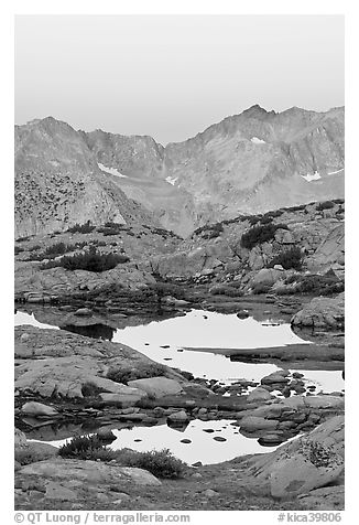 Alpine tarns and mountains, dawn, Dusy Basin. Kings Canyon National Park, California, USA.