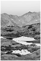 Alpine tarns and mountains, dawn, Dusy Basin. Kings Canyon National Park, California, USA. (black and white)