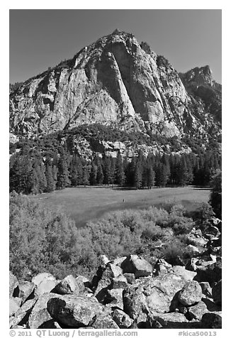 High granite walls above lush meadow. Kings Canyon National Park, California, USA.