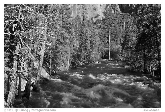 Roaring River in the spring. Kings Canyon National Park, California, USA.