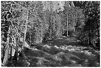 Roaring River in the spring. Kings Canyon National Park ( black and white)