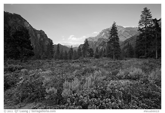 Meadow and cliffs at sunset, Cedar Grove. Kings Canyon National Park, California, USA.