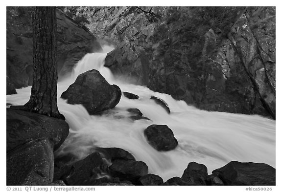 Forceful waterfall rushing through narrow granite chute. Kings Canyon National Park, California, USA.