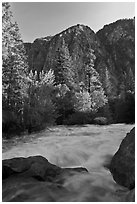 Granite River below Roaring River Falls. Kings Canyon National Park, California, USA. (black and white)