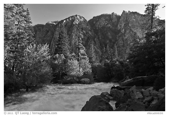 Rushing river and trees, and cliff in spring. Kings Canyon National Park (black and white)
