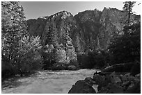 Rushing river and trees, and cliff in spring. Kings Canyon National Park, California, USA. (black and white)