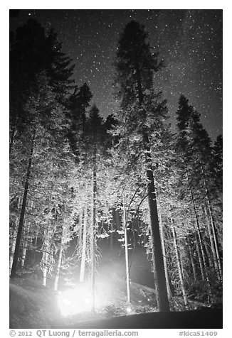 Fire amongst the sequoias, and starry sky. Kings Canyon National Park, California, USA.