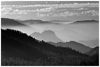 Distant sequoia forest and ridges. Kings Canyon National Park, California, USA. (black and white)