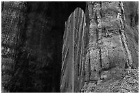 Opening created by fire at base of sequoia tree. Kings Canyon National Park, California, USA. (black and white)