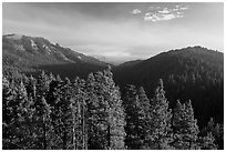 Redwood Mountain valley. Kings Canyon National Park, California, USA. (black and white)