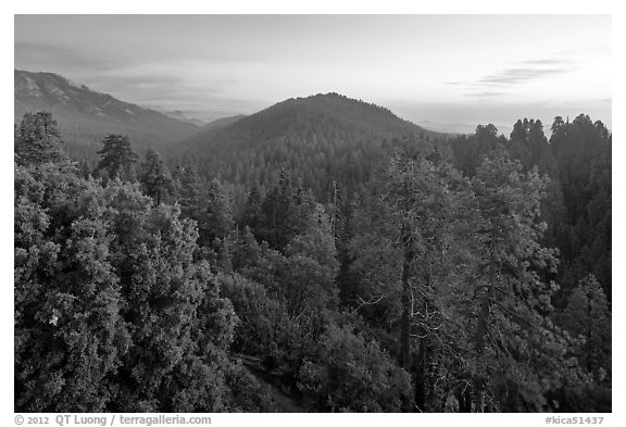 Redwood Canyon from above, sunset. Kings Canyon National Park, California, USA.