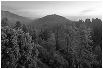 Redwood Canyon from above, sunset. Kings Canyon National Park, California, USA. (black and white)