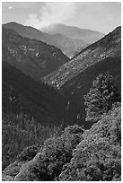 Valley carved by the Kings River. Kings Canyon National Park, California, USA. (black and white)