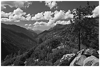 Canyon of the Kings River from Cedar Grove Overlook. Kings Canyon National Park, California, USA. (black and white)