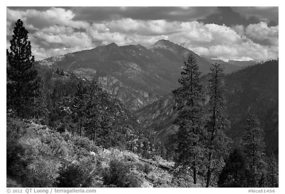 Peaks and trees from Cedar Grove rim. Kings Canyon National Park, California, USA.