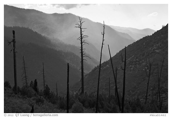 Backlit South Forks of the Kings River canyon. Kings Canyon National Park, California, USA.