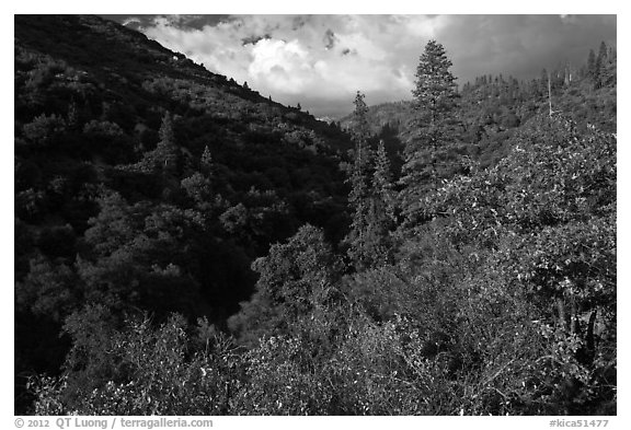 Lewis Creek. Kings Canyon National Park, California, USA.