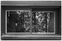 Window reflexion, Cedar Grove Visitor Center. Kings Canyon National Park ( black and white)