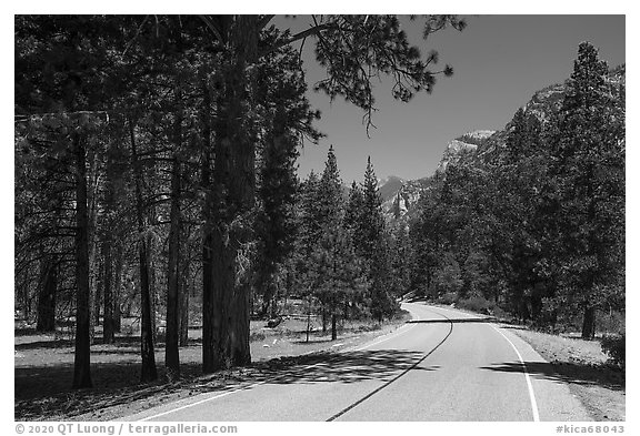 Cedar Grove Road. Kings Canyon National Park (black and white)