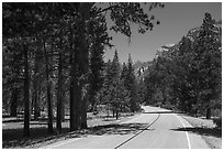 Cedar Grove Road. Kings Canyon National Park ( black and white)