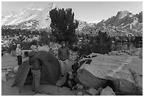 Backpacking camp near Kearsarge Lakes. Kings Canyon National Park ( black and white)