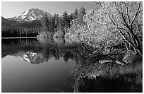 Manzanita lake and Mount Lassen in spring, morning. Lassen Volcanic National Park, California, USA. (black and white)