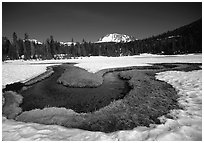 Stream in partly snow-covered Kings Creek meadows, morning. Lassen Volcanic National Park, California, USA. (black and white)