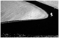 Curve and pine on top of Cinder cone, early morning. Lassen Volcanic National Park, California, USA. (black and white)