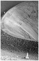 Pines and crater on top of Cinder cone, early morning. Lassen Volcanic National Park, California, USA. (black and white)