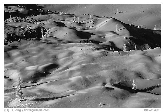 Painted dunes and pine trees. Lassen Volcanic National Park, California, USA.