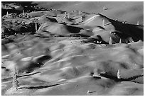 Painted dunes and pine trees. Lassen Volcanic National Park, California, USA. (black and white)