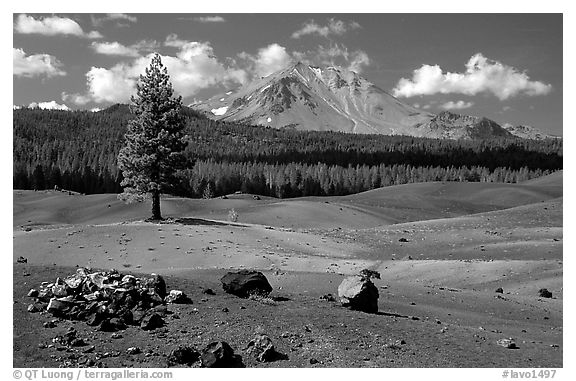 Painted dunes, pine tree, and Lassen Peak. Lassen Volcanic National Park, California, USA.