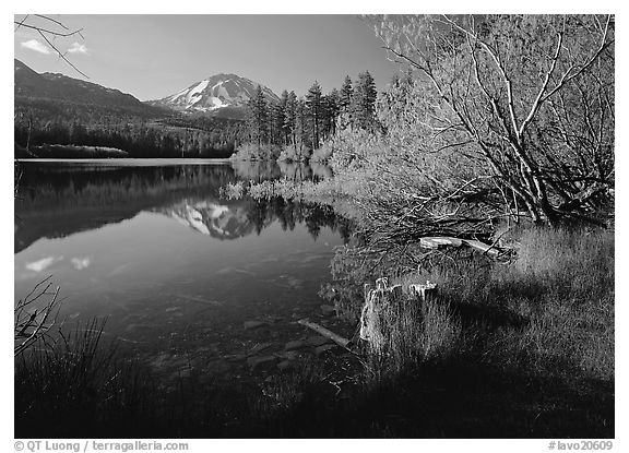 Lassen Peak reflected in Manzanita Lake, morning. Lassen Volcanic National Park, California, USA.