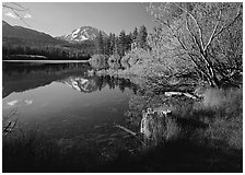 Lassen Peak reflected in Manzanita Lake, morning. Lassen Volcanic National Park ( black and white)