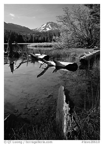 Manzanita Lake and Mount Lassen, morning spring. Lassen Volcanic National Park, California, USA.