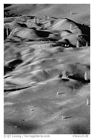 Painted dunes and pine trees. Lassen Volcanic National Park, California, USA.