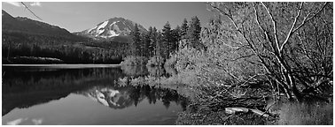 Lassen Peak reflexions in the spring. Lassen Volcanic National Park (Panoramic black and white)
