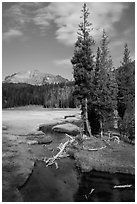 Kings Creek, meadow, and Lassen Peak. Lassen Volcanic National Park ( black and white)