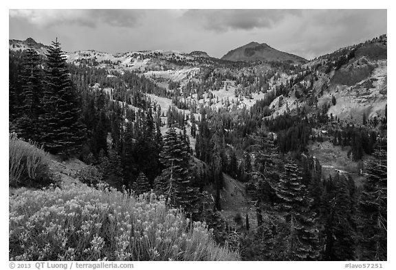 Little Hot Springs Valley. Lassen Volcanic National Park (black and white)