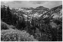 Little Hot Springs Valley. Lassen Volcanic National Park ( black and white)