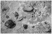 Ground close-up of sulfure deposits and mud. Lassen Volcanic National Park ( black and white)