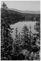 Juniper Lake from above. Lassen Volcanic National Park ( black and white)