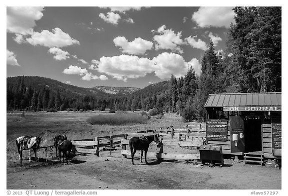 Corral, Drakesbad. Lassen Volcanic National Park (black and white)