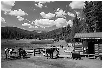 Corral, Drakesbad. Lassen Volcanic National Park ( black and white)