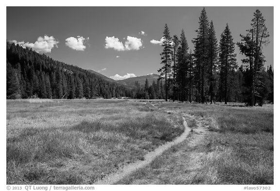 Trail, Warner Valley. Lassen Volcanic National Park (black and white)