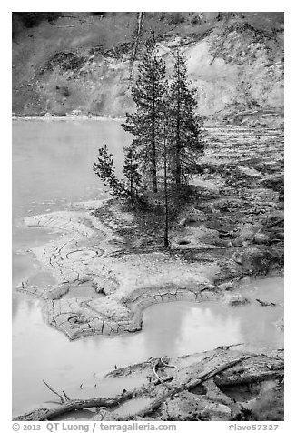 Shore of Boiling Springs Lake. Lassen Volcanic National Park (black and white)