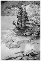 Shore of Boiling Springs Lake. Lassen Volcanic National Park ( black and white)